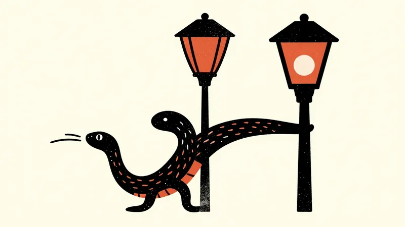 Why Host Python on a VPS?